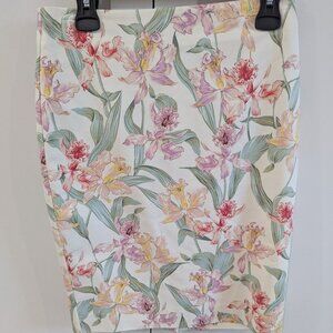 Ann Taylor Pencil Skirt